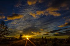 1-DSC_4414.jpg