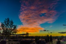 1-DSC_4407.jpg