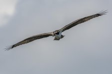 untitled-7194.jpg