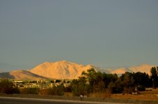 ROY_9535.JPG