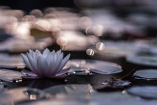 20160918-_DSC5346.jpg