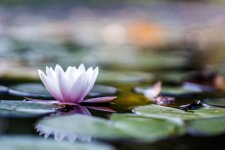 20160918-_DSC5347.jpg