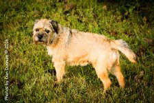 Jersey Girl-4234.jpg