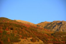 Autumn Mountains #2 9-20-2016.jpg