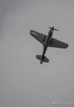 Mustang.jpg