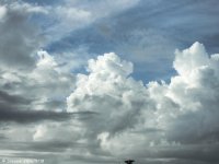 DSCN1179.jpg