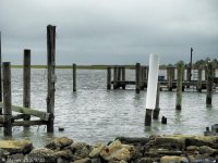 DSCN1186.jpg