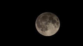 September 16, 2016-0012.jpg