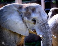 9-21-16 CLE Zoo   1sm.jpg
