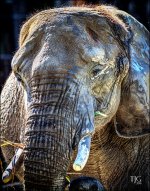 9-21-16 CLE Zoo   3sm.jpg