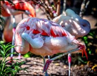9-21-16 CLE Zoo   4sm.jpg
