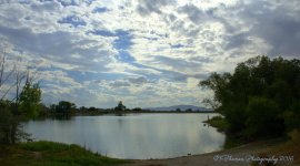 A. Adams Pond 9-21-2016.jpg
