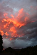 X_IMG_6327.jpg