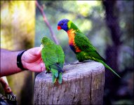 9-21-16 CLE Zoo   6sm.jpg