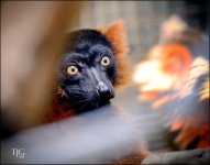 9-21-16 CLE Zoo   8sm.jpg