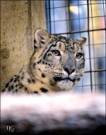 9-21-16 CLE Zoo   10sm.jpg