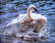 9-21-16 CLE Zoo   16sm.jpg