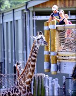9-21-16 CLE Zoo   19sm.jpg
