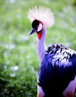 9-21-16 CLE Zoo   20sm.jpg