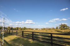 out n about-4330-Edit.jpg