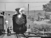 DSCN8951.jpg