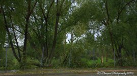 Swan Lakes Golf Course #2 9-23-2016.jpg