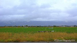 Building Roof in the Field along with a Downed Power Line 9-23-2016.jpg