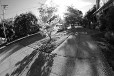Salmon St..jpg