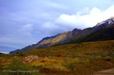 Ben Lomond Mountain #3 9-24-2016.jpg