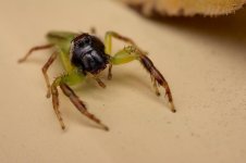 DSC_0812.jpg