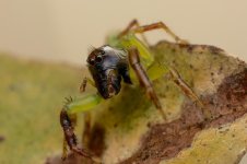 DSC_0813.jpg
