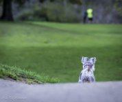 I'm Watching you-0400.jpg