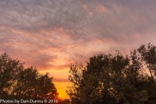 Dawn-4399.jpg