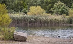 021 vignette low res.jpg