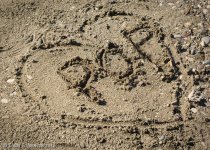 033 vignette low res.jpg