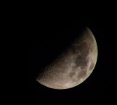 DSC_0232 (1).jpg