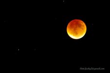 DSC_3237DSC_3237.jpg