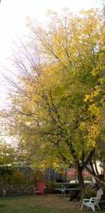 DSC_2838_panorama.jpg