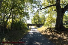 Old Tressel-4409.jpg