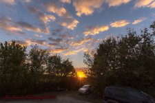 Morning Son-4455.jpg