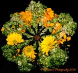 Colorful Gourd #2 9-27-2016.jpg