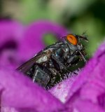 DSC_4414.jpg