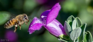 DSC_4257.jpg