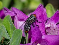 DSC_4405.jpg