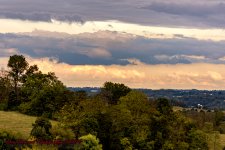 Evening walk-4539-Edit.jpg