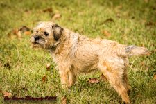 Evening walk-4546.jpg