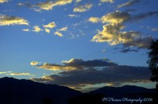 Autumn Morning #3 9-30-2016.jpg