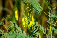 D72_0920-2.jpg