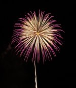 untitled (23 of 151).jpg
