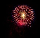 untitled (59 of 151).jpg